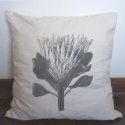 Cushions